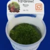 1-2-GROW! Kleines Teichlebermoos / Riccia Fluitans Von TROPICA, Moos