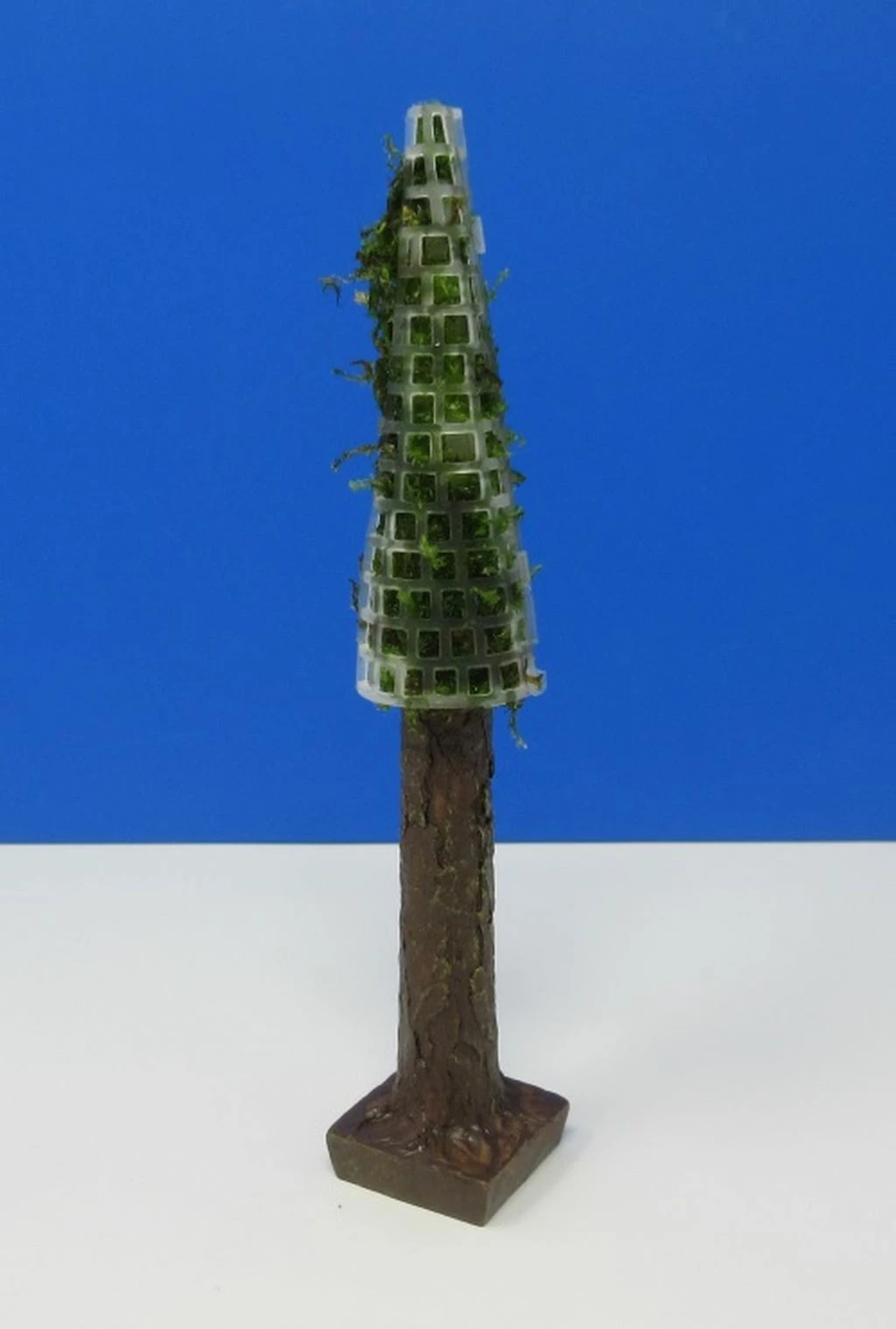 Dekorativer Tannenbaum - Pflanzenbaum