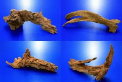 Mangroven-Wurzel Gr. M / 20 - 30 Cm Mangrovenholz