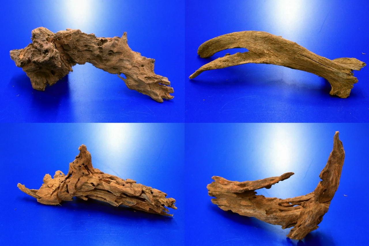 Mangroven-Wurzel Gr. M / 20 - 30 Cm Mangrovenholz