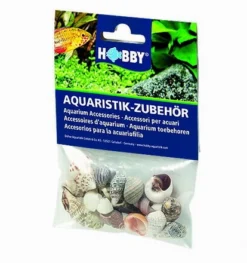 Hobby Sea Shell Set S - 20 Stk. - Natürliche Schneckenhäuser