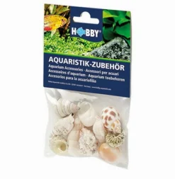 Hobby Sea Shell Set M - 10 Stk. - Natürliche Schneckenhäuser