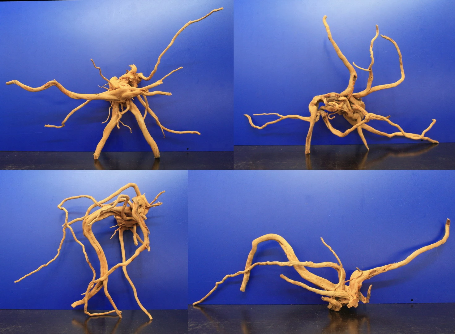 Moorwurzel/Moorkienholz, Gr. XL Traumwurzel 50-60cm