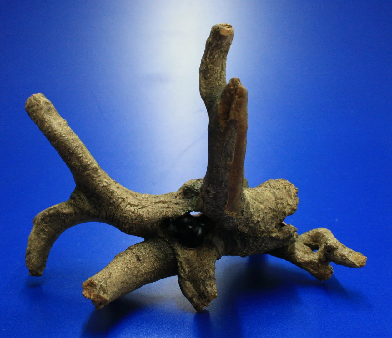 Hobby Urwaldbaum Mit Höhle / Regenwaldbaum Ca. 21x18x14cm, Mit Vielen Kleinen Details – Bild 4