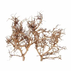 Thailand Zweig / Wurzel - L - 35-45cm