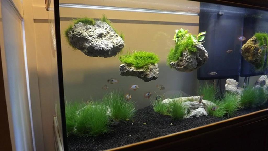 Rückwand Stein Größe: L / Wall Stone 25-30cm – Bild 2