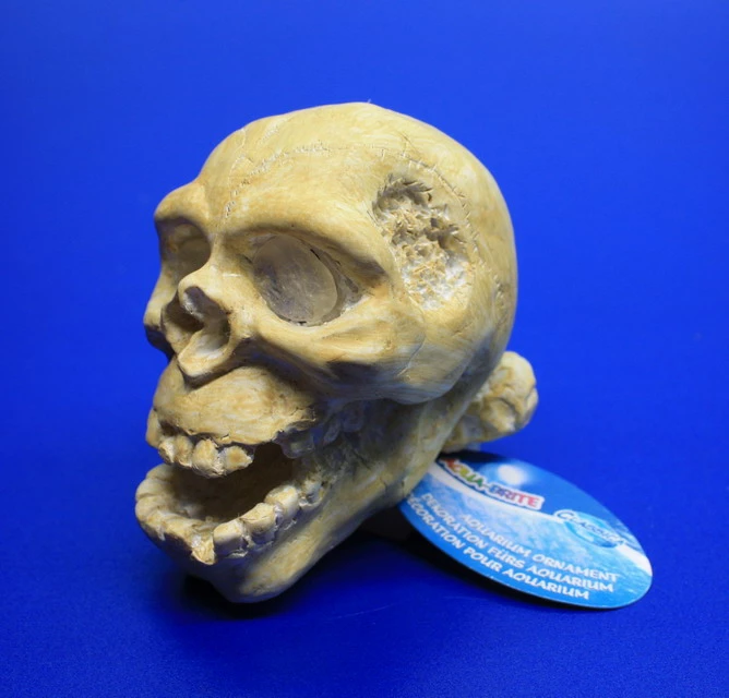 ARCADIA Totenkopf Weiß Mit Einsatz Für LED-Aquarienstrahler – Bild 2