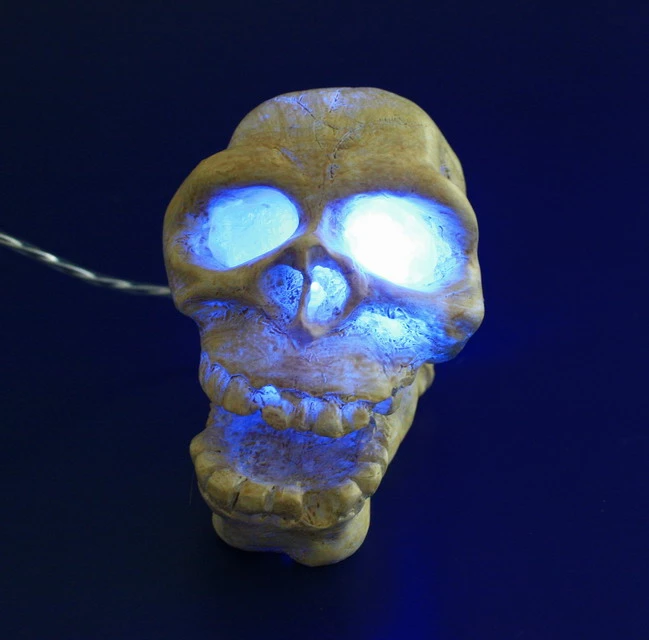 ARCADIA Totenkopf Weiß Mit Einsatz Für LED-Aquarienstrahler – Bild 3