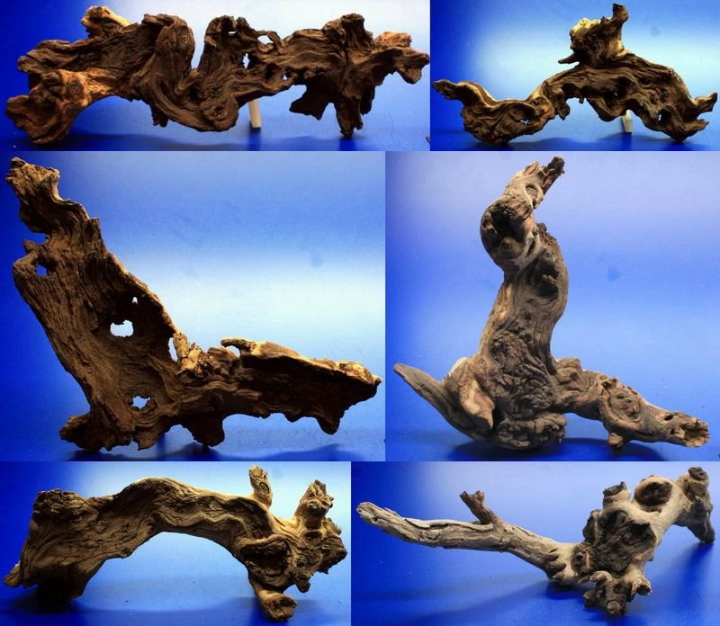 Mopani-Wurzel 40-50 Cm / Eisenholz Zwei-farbig Gr.XL