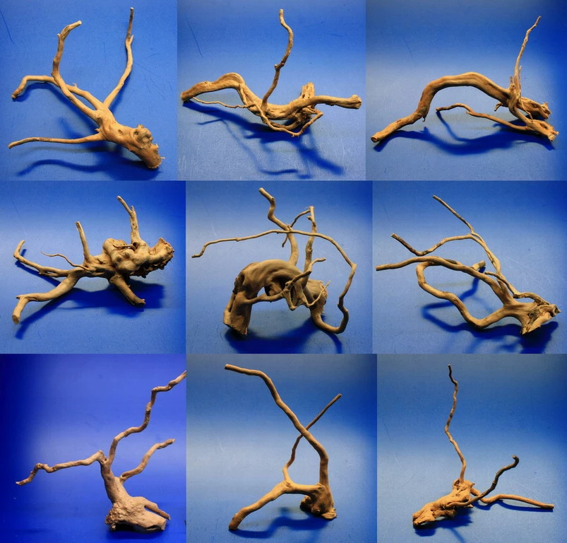 Nano Moorwurzel/Moorkienholz, Traumwurzel Für Den Garnelen Cube