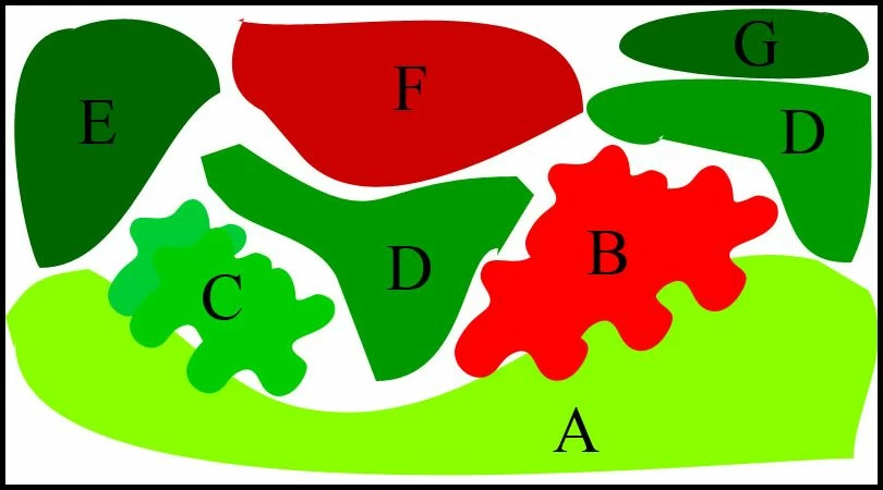 Unterwasser-Landschaft Lotuswelt Für Ein 60 Liter Aquarium – Bild 2
