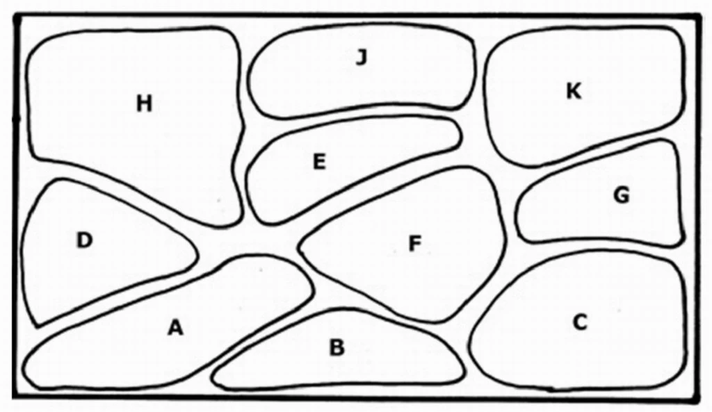 Unterwasser-Landschaft Holland-Aquarium Für Ein 400 Liter Aquarium – Bild 2
