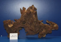 Zweifarbige Traumwurzel #1429 Eisenholz/Mopani-Wurzel 42x25x13