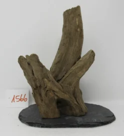 XL Scaper Wurzel 19x23x13 Traumwurzel #1566 Auf Schiefer