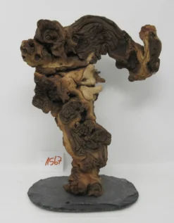 XXL Eisenholz/Mopani-Wurzel 26x33x17 Zweifarbige Traumwurzel #1567 Auf Schiefer