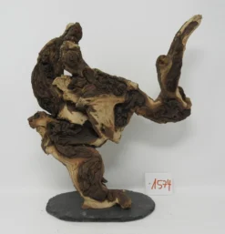 XXL Eisenholz/Mopani-Wurzel 29x30x16 Zweifarbige Traumwurzel #1574 Auf Schiefer