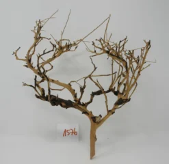 XL Thailand Zweig / Wurzel 30x31x18 Traumwurzel #1576