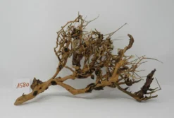 XL Thailand Zweig / Wurzel 39x25x18 Traumwurzel #1580