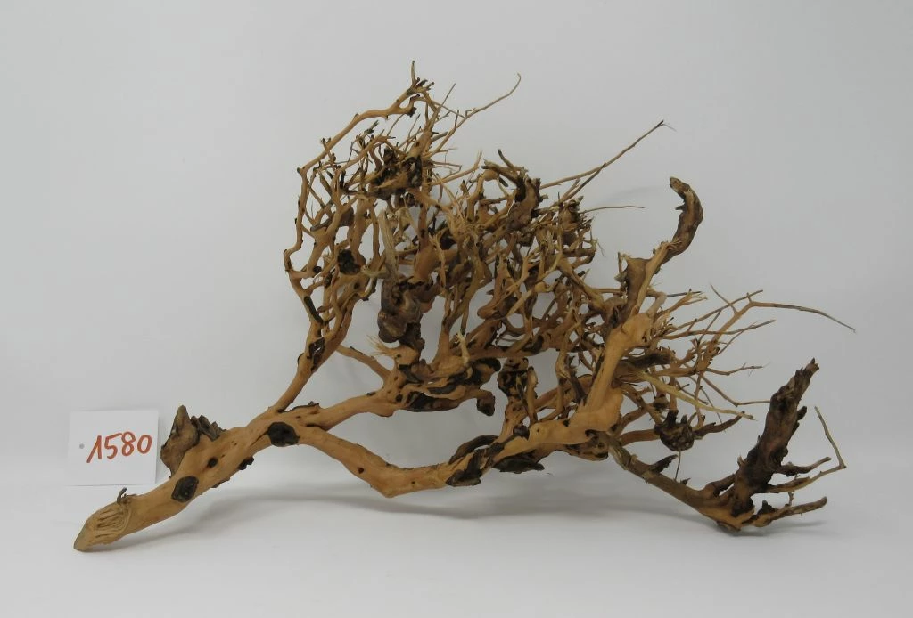 XL Thailand Zweig / Wurzel 39x25x18 Traumwurzel #1580