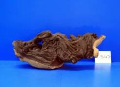 Zweifarbige Traumwurzel #947 Eisenholz/Mopani-Wurzel 31x13x18